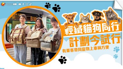 輕鐵「貓狗同行」計劃今試行　有乘客帶同寵物上車稱方便