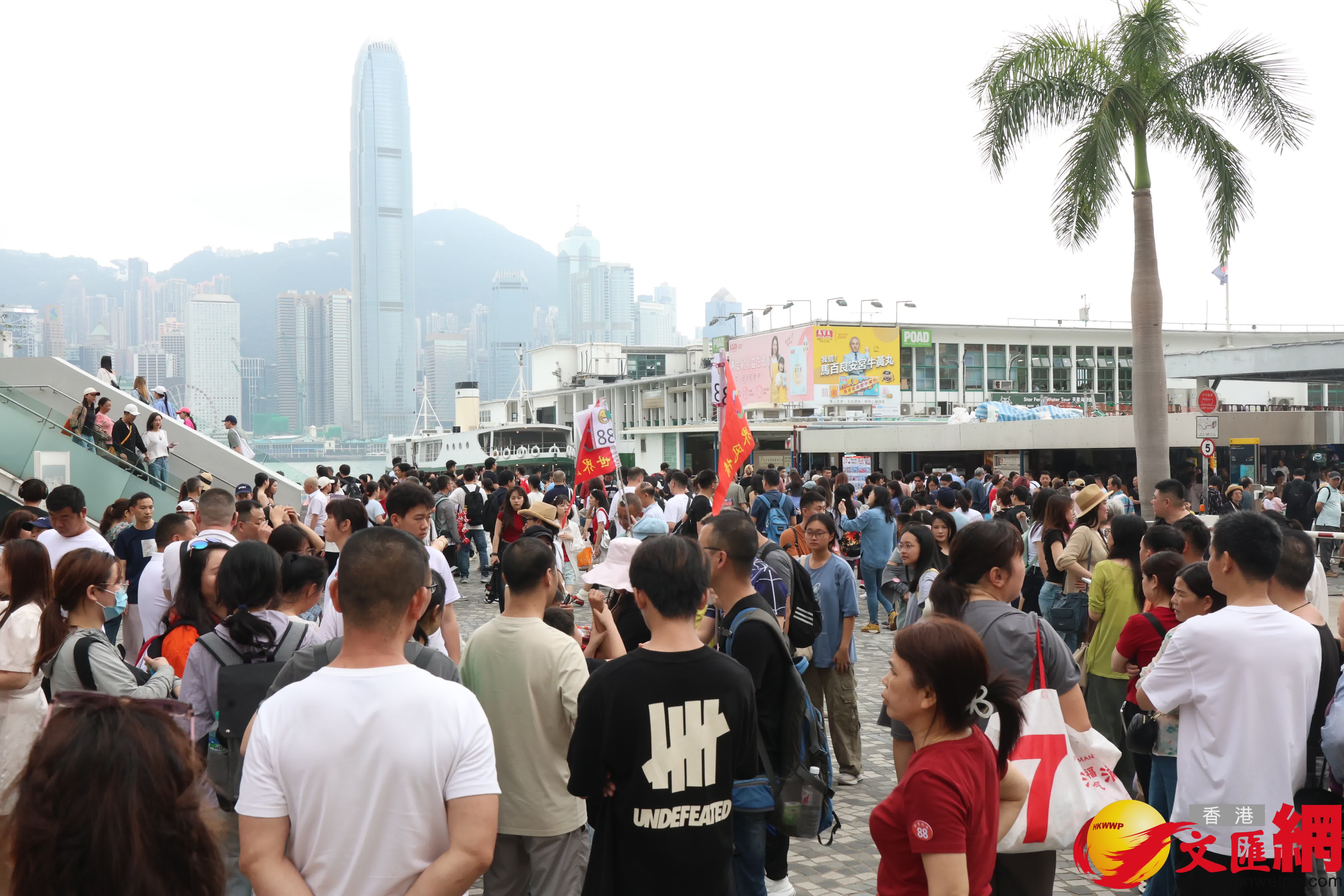 跟團或自由行旅客都近滿了尖沙咀碼頭一帶景點。(香港文匯報記者萬霜靈 攝) 跟團或自由行旅客都近滿了尖沙咀碼頭一帶景點。(香港文匯報記者萬霜靈 攝)