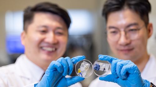 理大研究揭示塑膠廢物潛藏微生物群落或引發生態危機