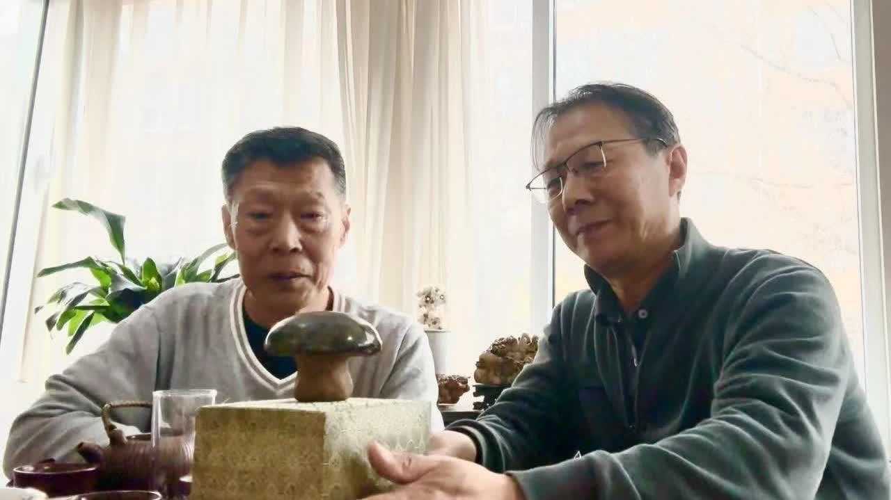 時(shí)隔40載　又一枚雲(yún)岡石窟佛眼「回家」