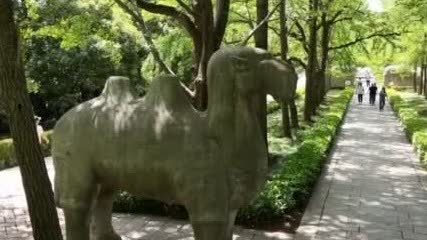 「世界文化遺產」明孝陵內石獸遭塗鴉　景區倡導遊客文明旅遊