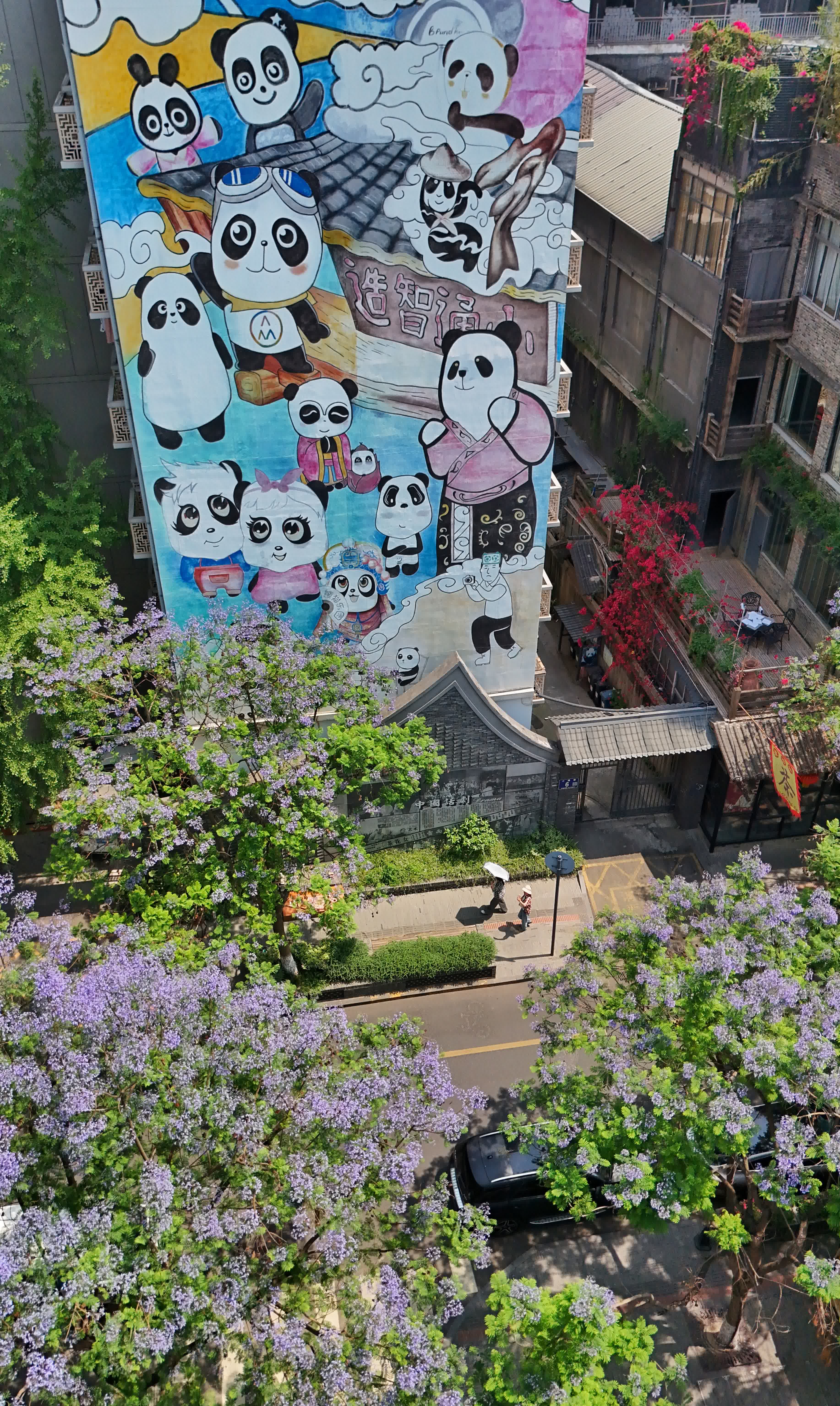 5月12日在成都市青羊區小通巷拍攝的藍花楹（無人機照片）。（新華社）