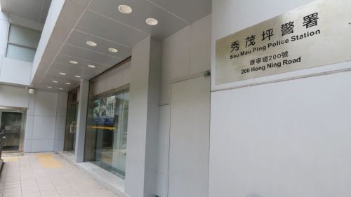 女子虛報在稅務局放炸彈 涉兩宗罪被捕