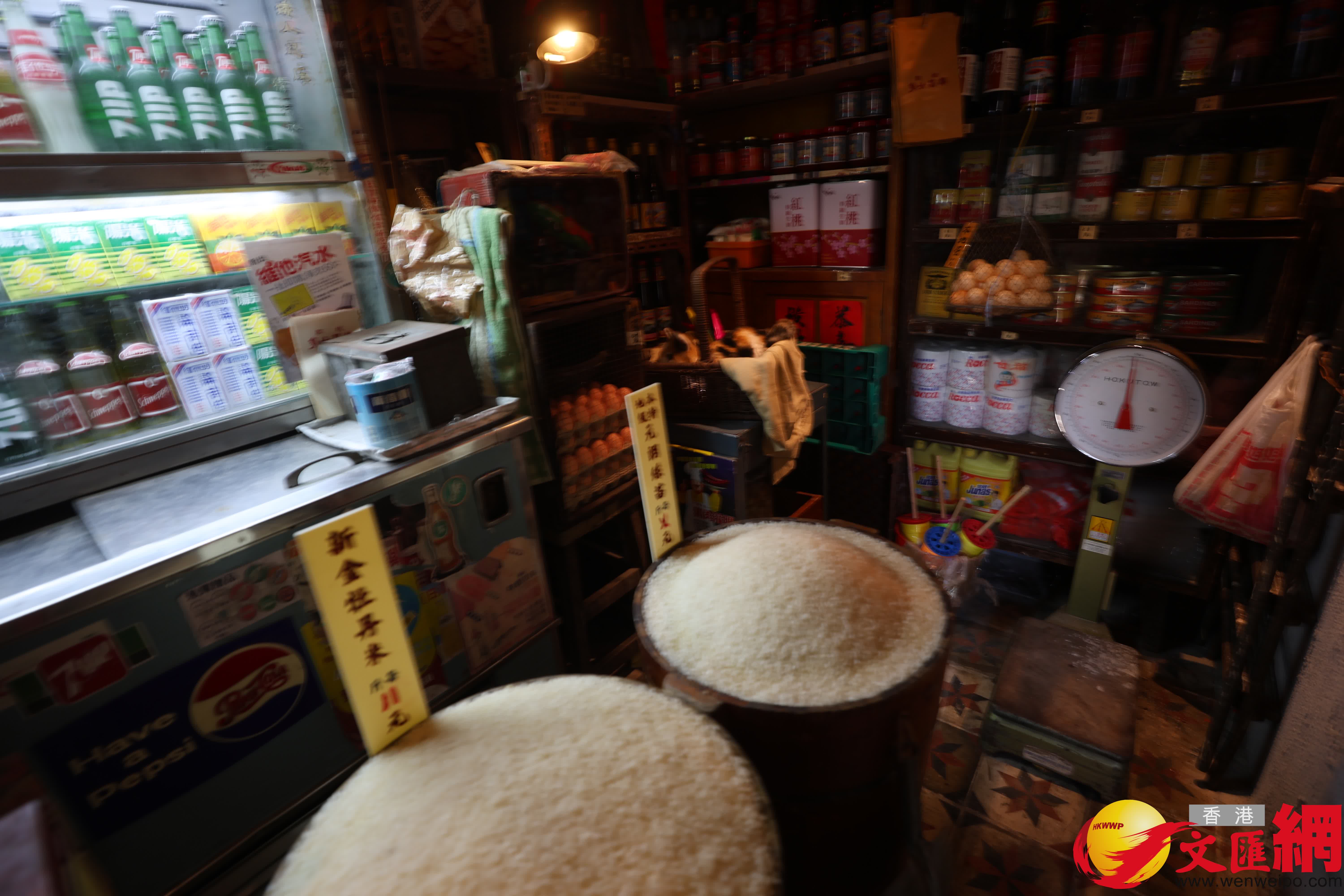 九龍城寨光影之旅今開幕(香港文匯報記者 北山彥攝) 九龍城寨光影之旅今開幕(香港文匯報記者 北山彥攝)