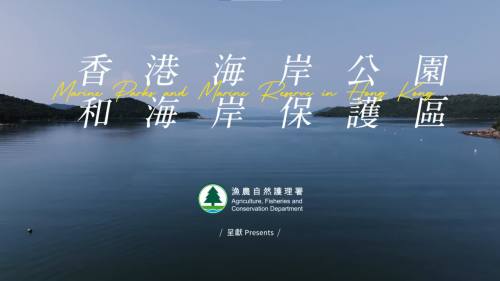 (有片)  公民教育 │ 漁濃署《香港海岸公園和海岸保護(hù)區(qū)》預(yù)告片