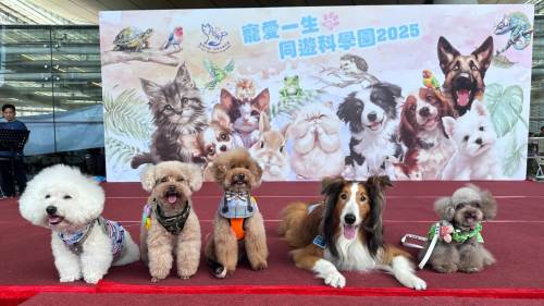 (多圖)萬人參與科學園人寵共融盛會 逾20流浪動物覓新家