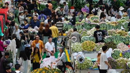 昆明：斗南花市熱鬧非凡