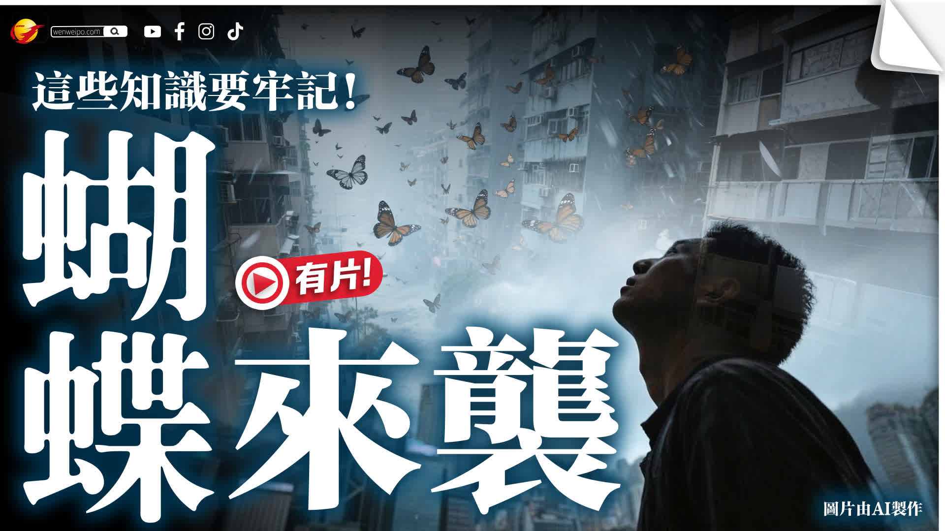 颱風來襲　這些知識要牢記！