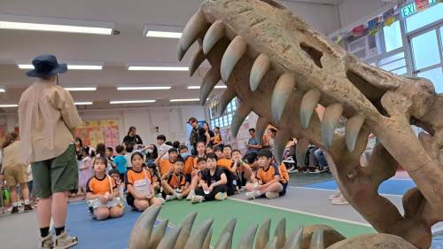 筲箕灣官小全港首創校園挖掘恐龍化石體驗 從遊戲中學習古生物學