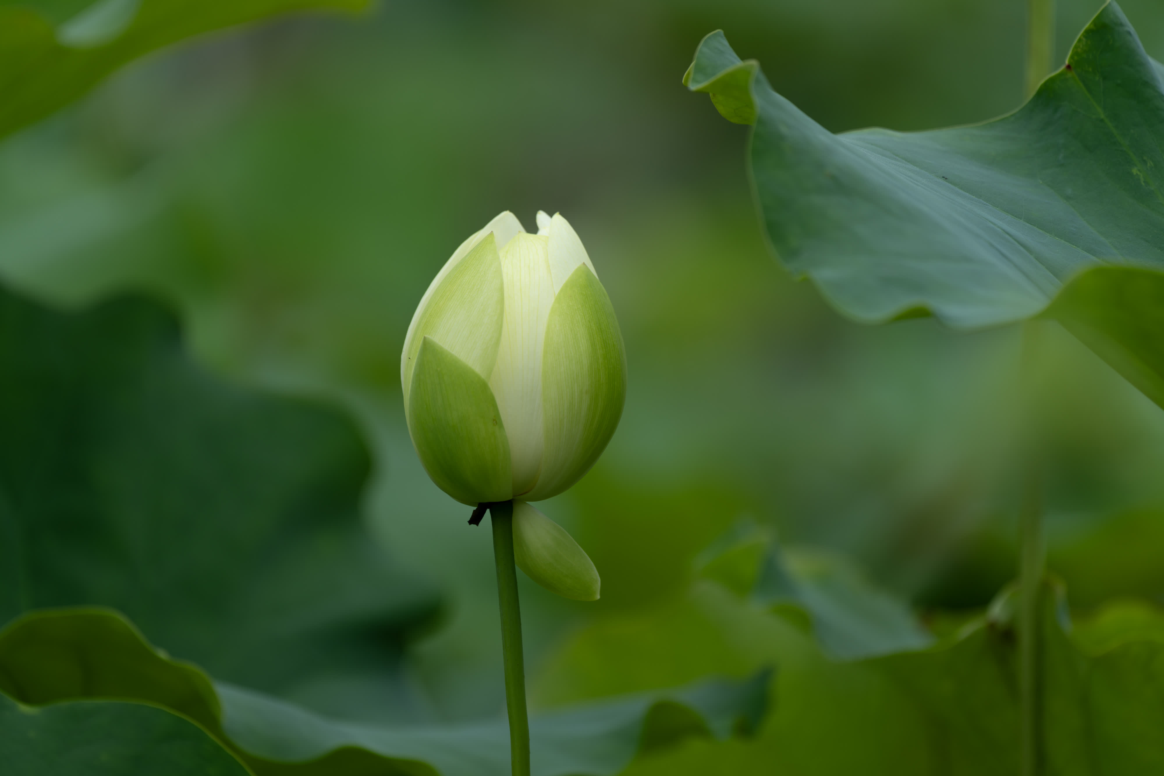 圖片來源：新華社