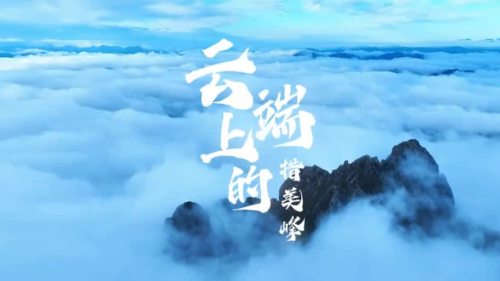 初夏峰頂有一片「海」　解鎖措美峰的絕美雲端畫卷