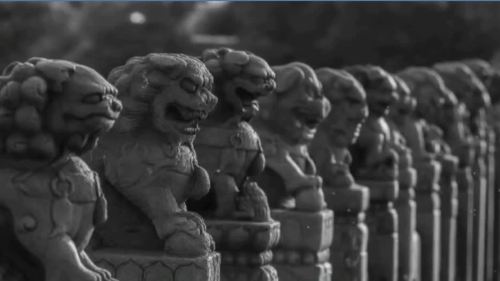 （有片）盧溝橋專題攝影展　以「醒獅」鐫刻民族精神