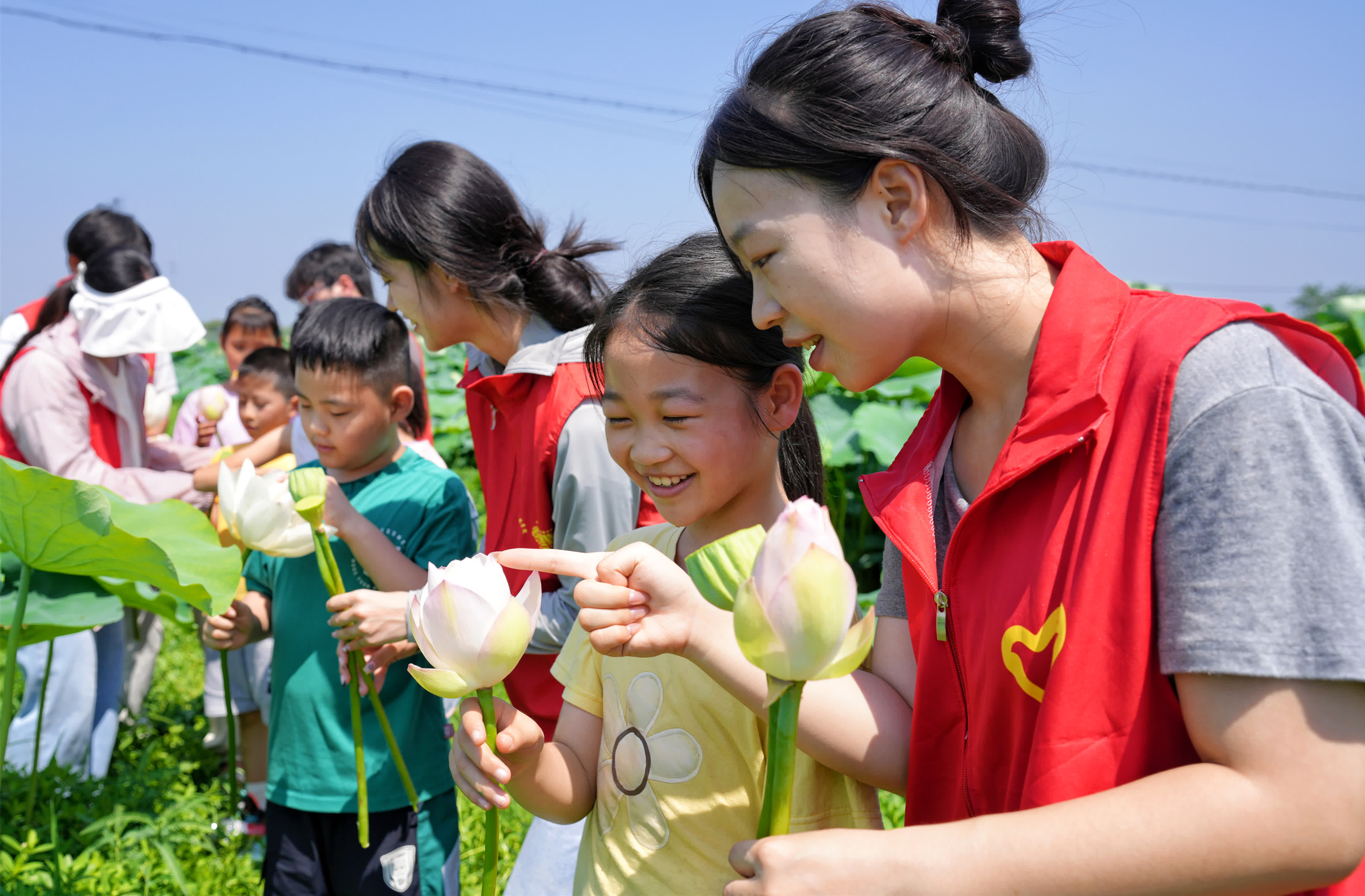 7月7日,在江蘇省海安市墩頭鎮千步村,南京工業大學建築學院大學生志願者在淺水藕田邊教小學生認識荷花和蓮蓬。(新華社) 7月7日,在江蘇省海安市墩頭鎮千步村,南京工業大學建築學院大學生志願者在淺水藕田邊教小學生認識荷花和蓮蓬。(新華社)
