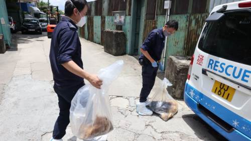 元朗村屋傳惡臭 揭5犬疑長期斷糧水釀兩死 兩男女落網