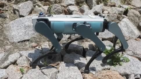 深企研發六足仿生機器狗　專攻防爆救援等高危場景