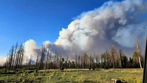 美國大峽谷國家公園附近兩處山火失控　周邊地區發布疏散令
