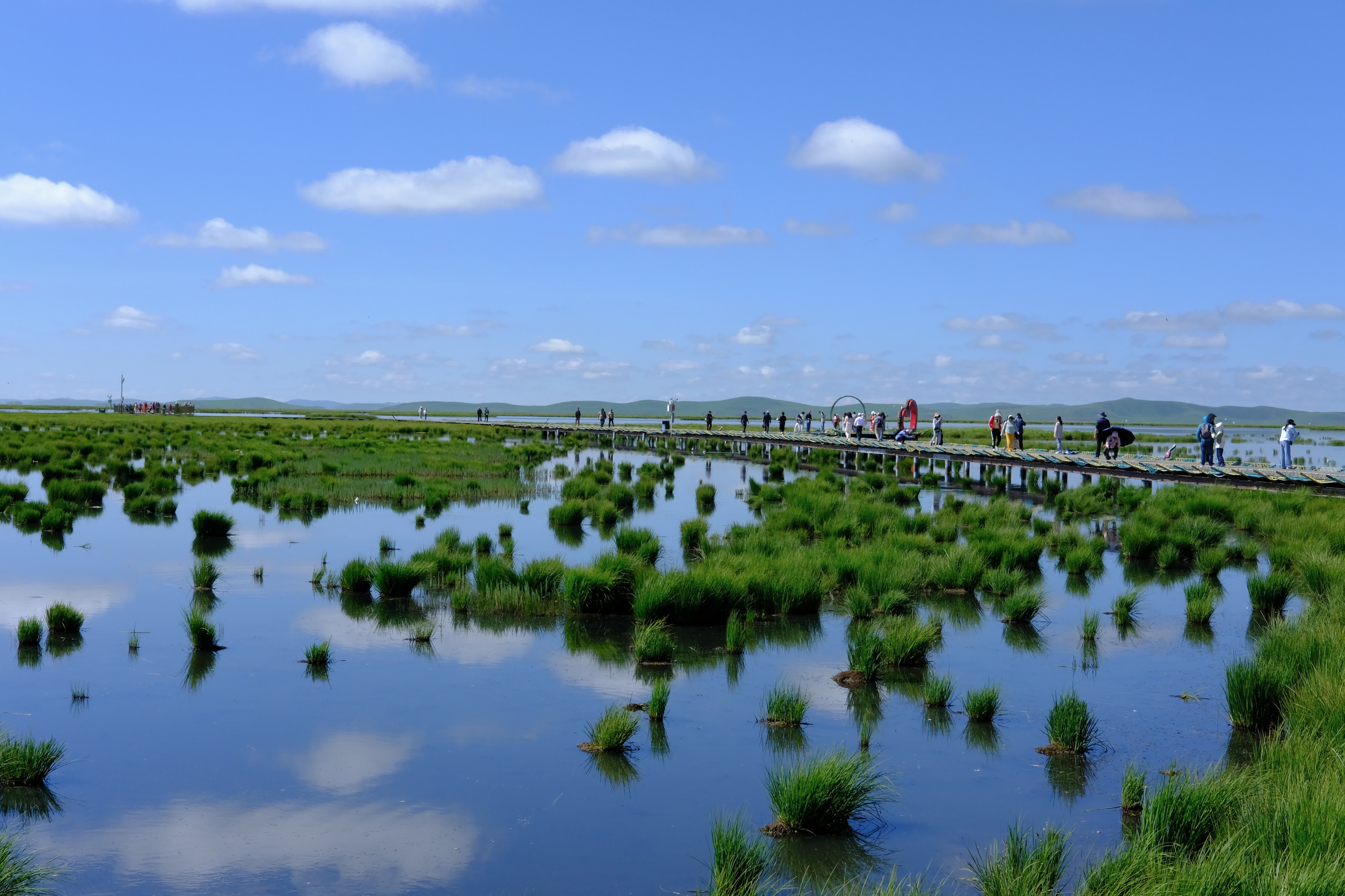 7月13日，遊客行走在若爾蓋花湖景區棧道上。（新華社）