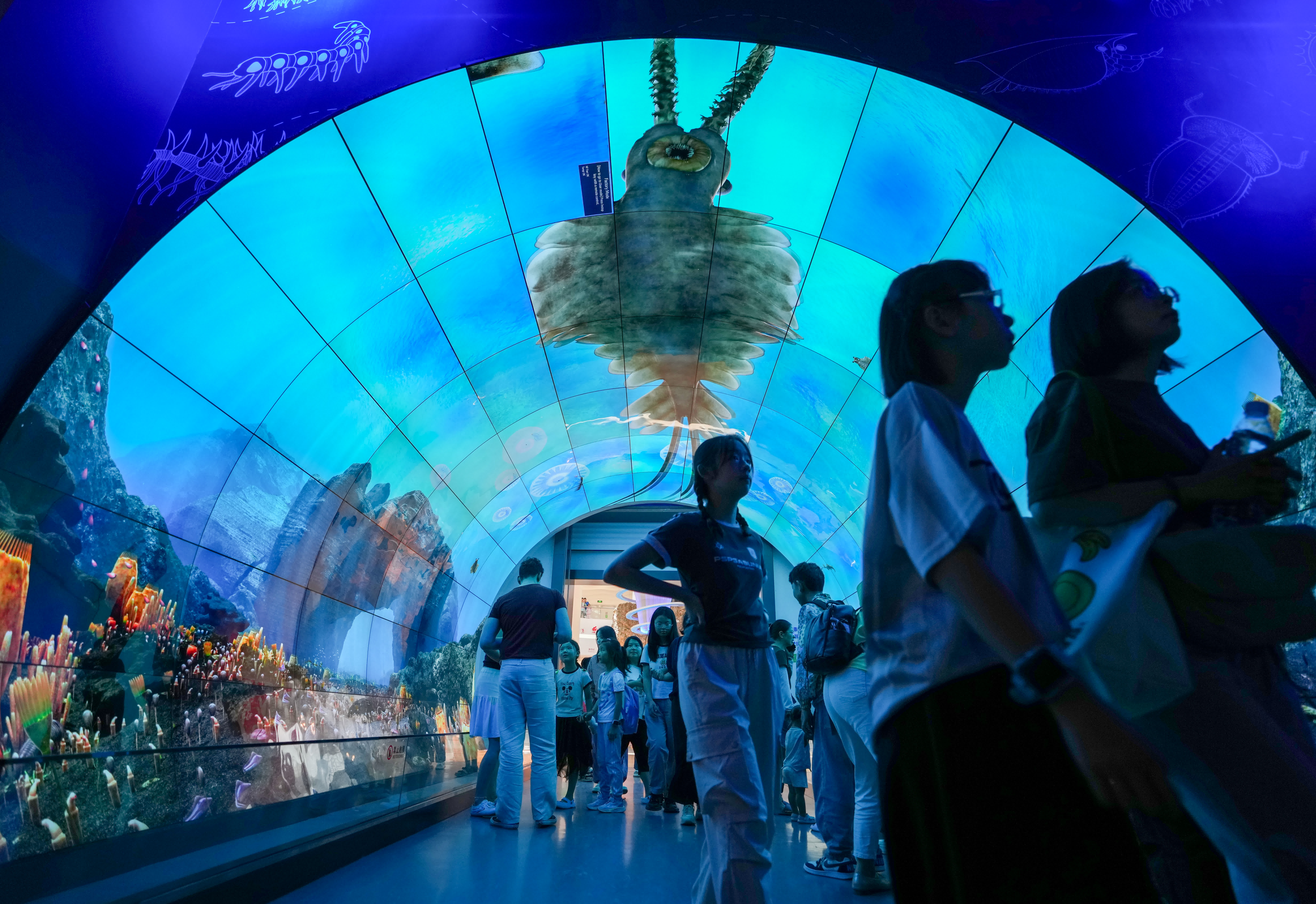 7月15日，遊客在澄江化石地世界自然遺產博物館「寒武紀海底隧道」參觀。（新華社）