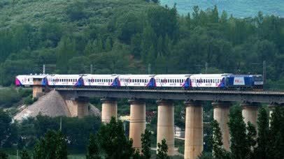 白色塗裝的Y字頭列車　12306售票啦