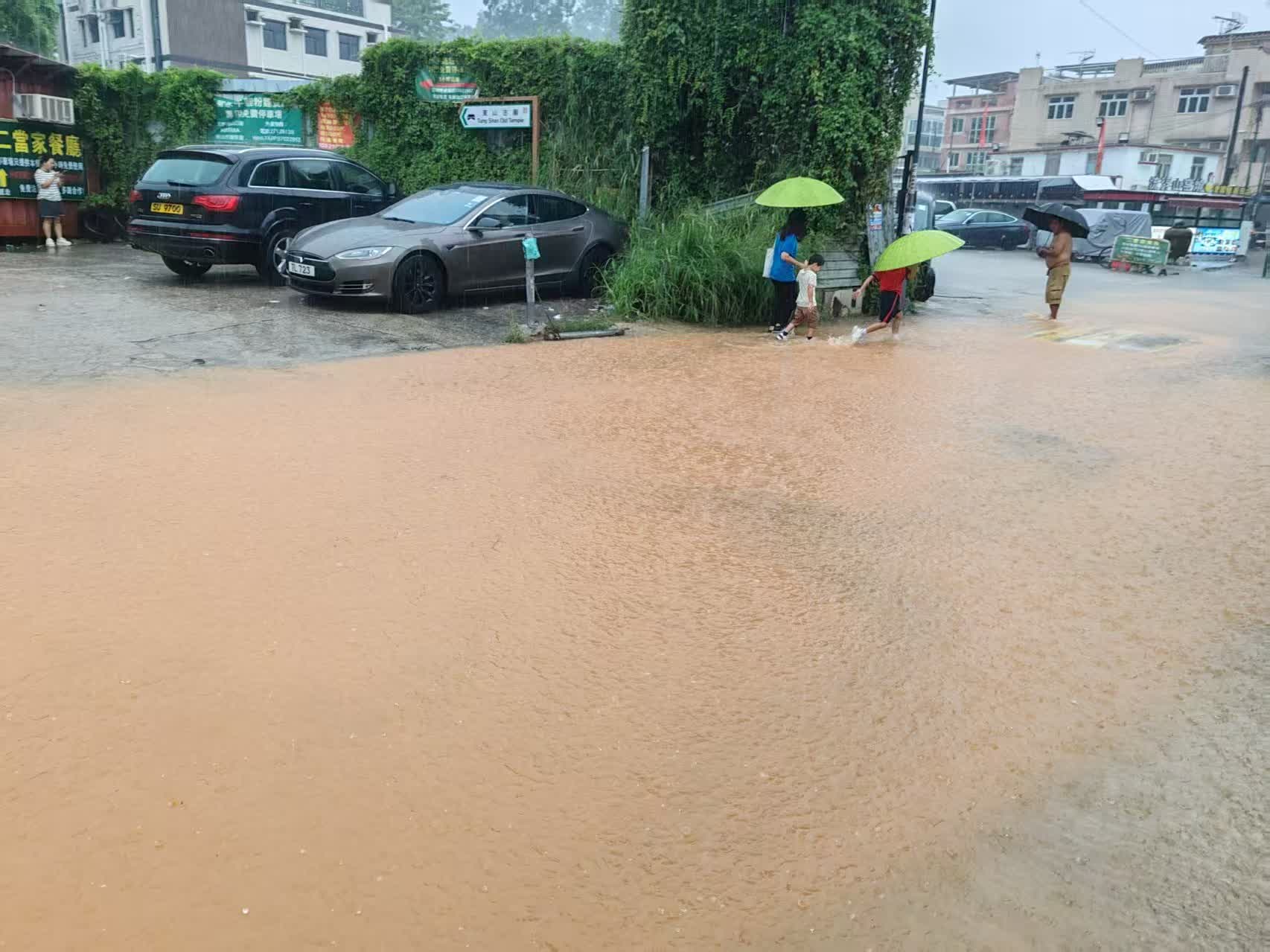 新田多處水浸。(讀者供圖) 新田多處水浸。(讀者供圖)