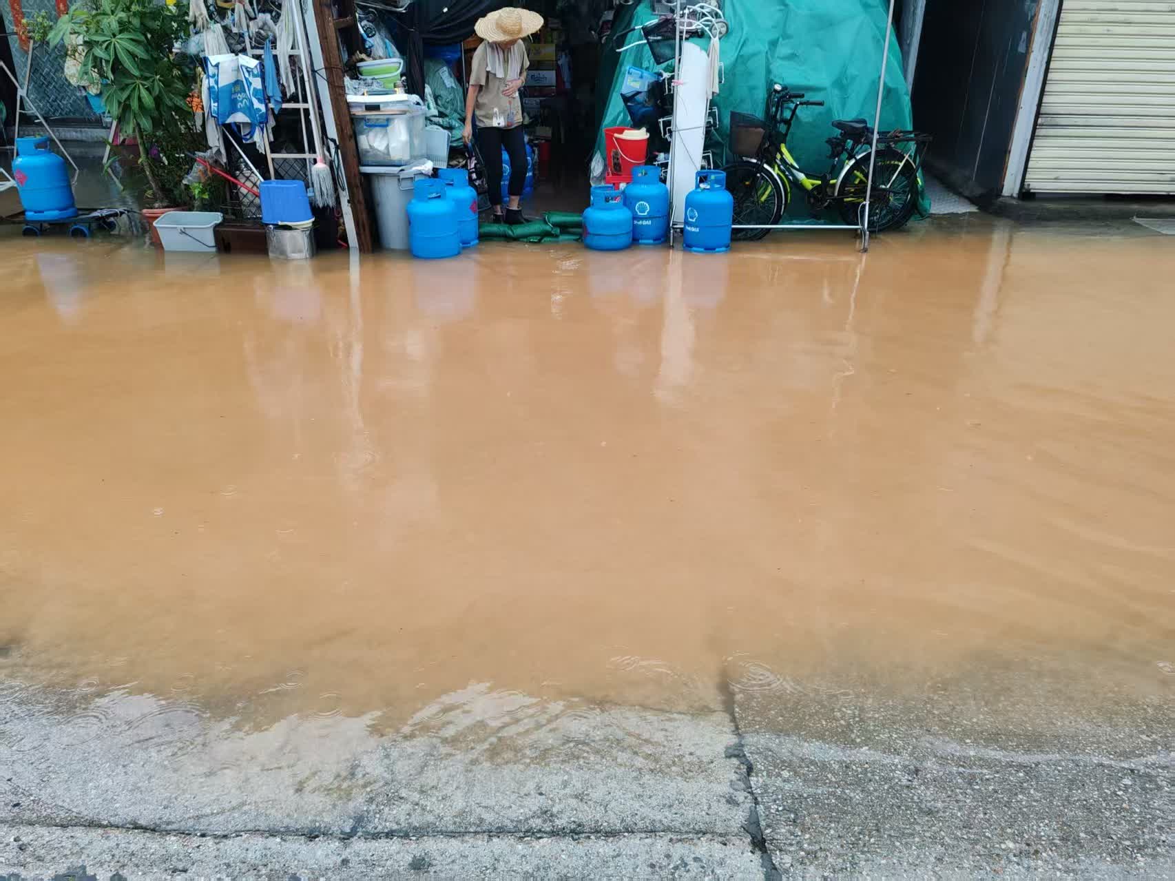 新田多處水浸。(讀者供圖) 新田多處水浸。(讀者供圖)