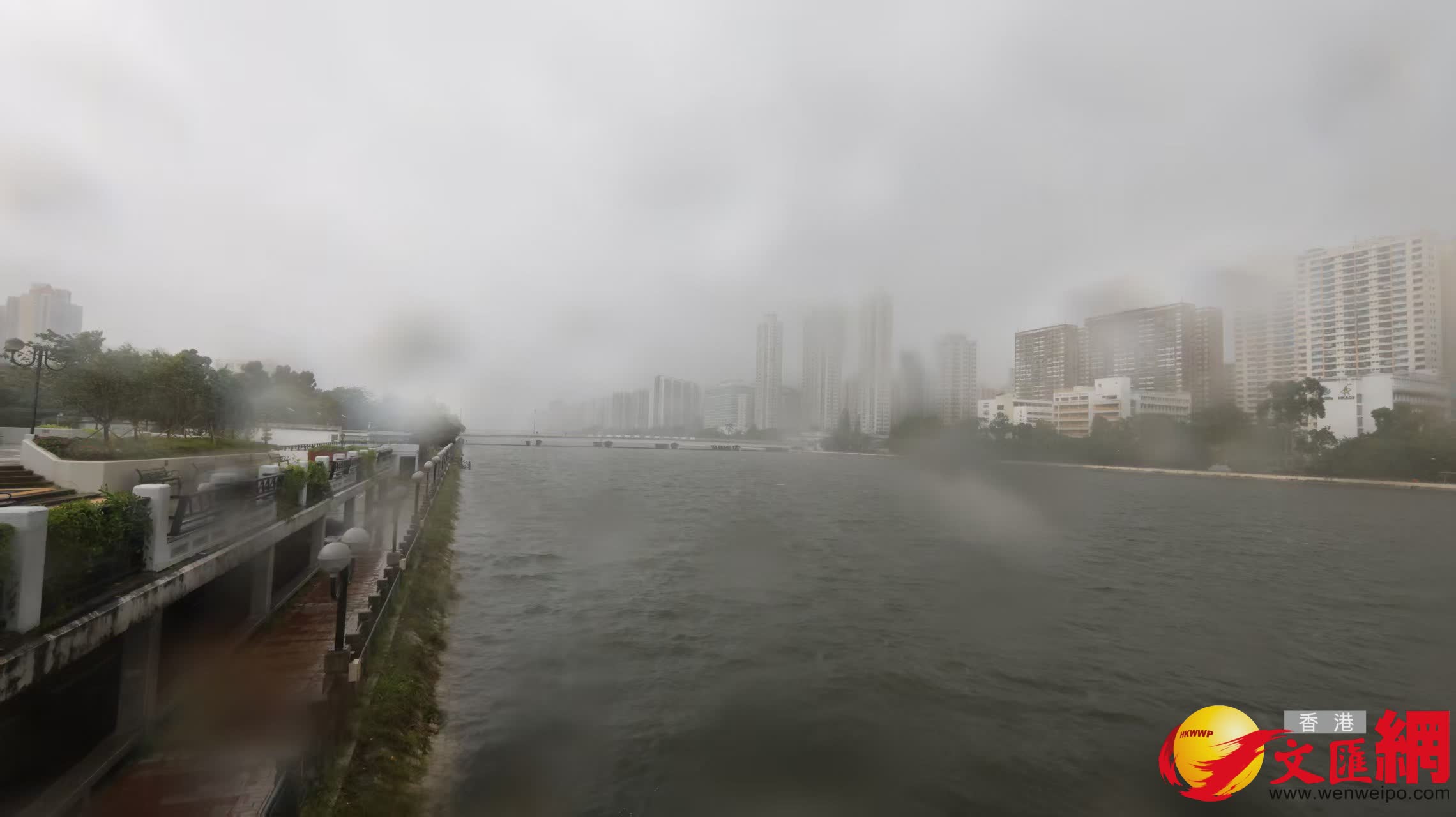 (香港文匯報記者黃艾力 攝) (香港文匯報記者黃艾力 攝)