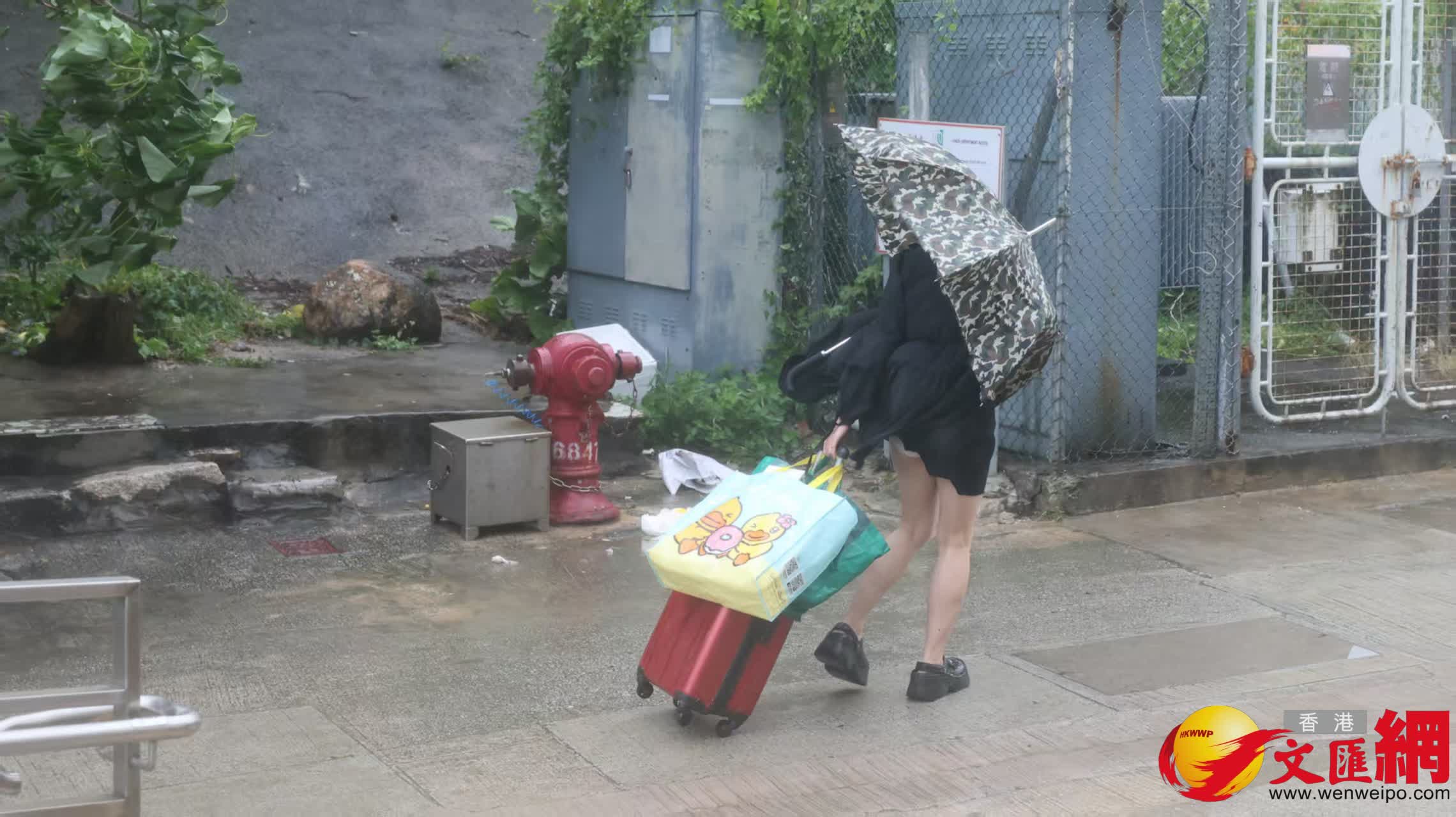三家村十號風球情況。 (香港文匯報記者黃艾力 攝) 三家村十號風球情況。 (香港文匯報記者黃艾力 攝)