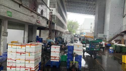 （有片）保障香港菜市場供應　供港菜司機風雨無阻北上深圳拉菜