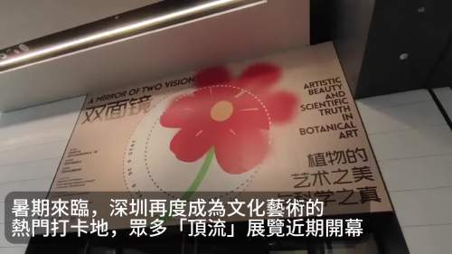 (有片)「頂流」展覽匯聚深圳 港人暑期北上觀展