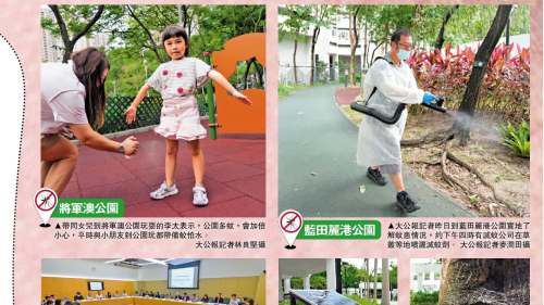 「基孔肯雅熱」殺埋身　全城齊防蚊
