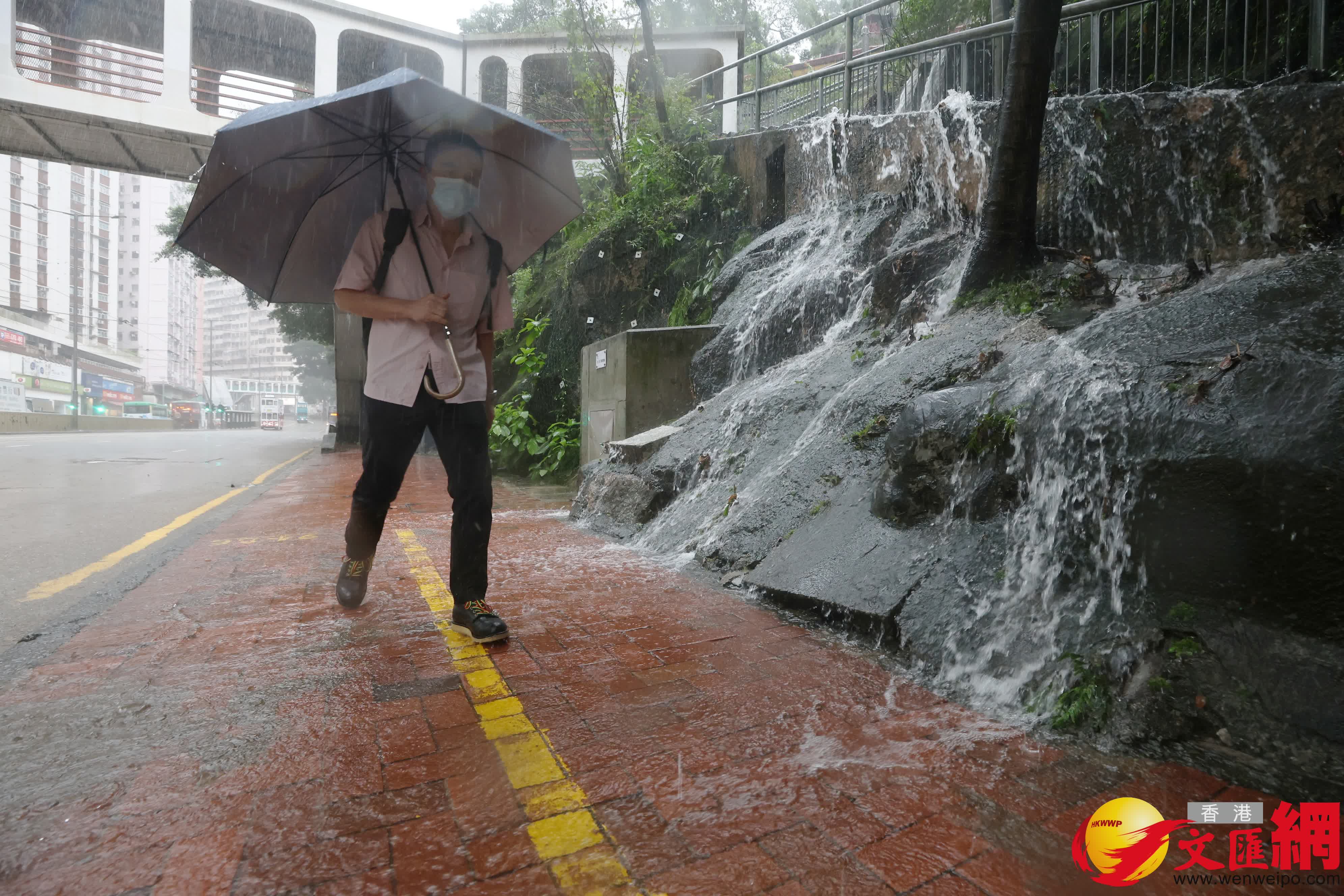 (香港文匯報記者 郭木又 攝) (香港文匯報記者 郭木又 攝)