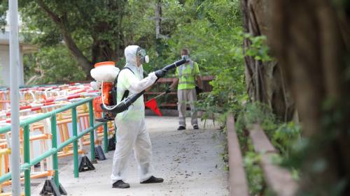 本月第二批涵蓋10個監察區白紋伊蚊誘蚊器指數 跑馬地及上水最高