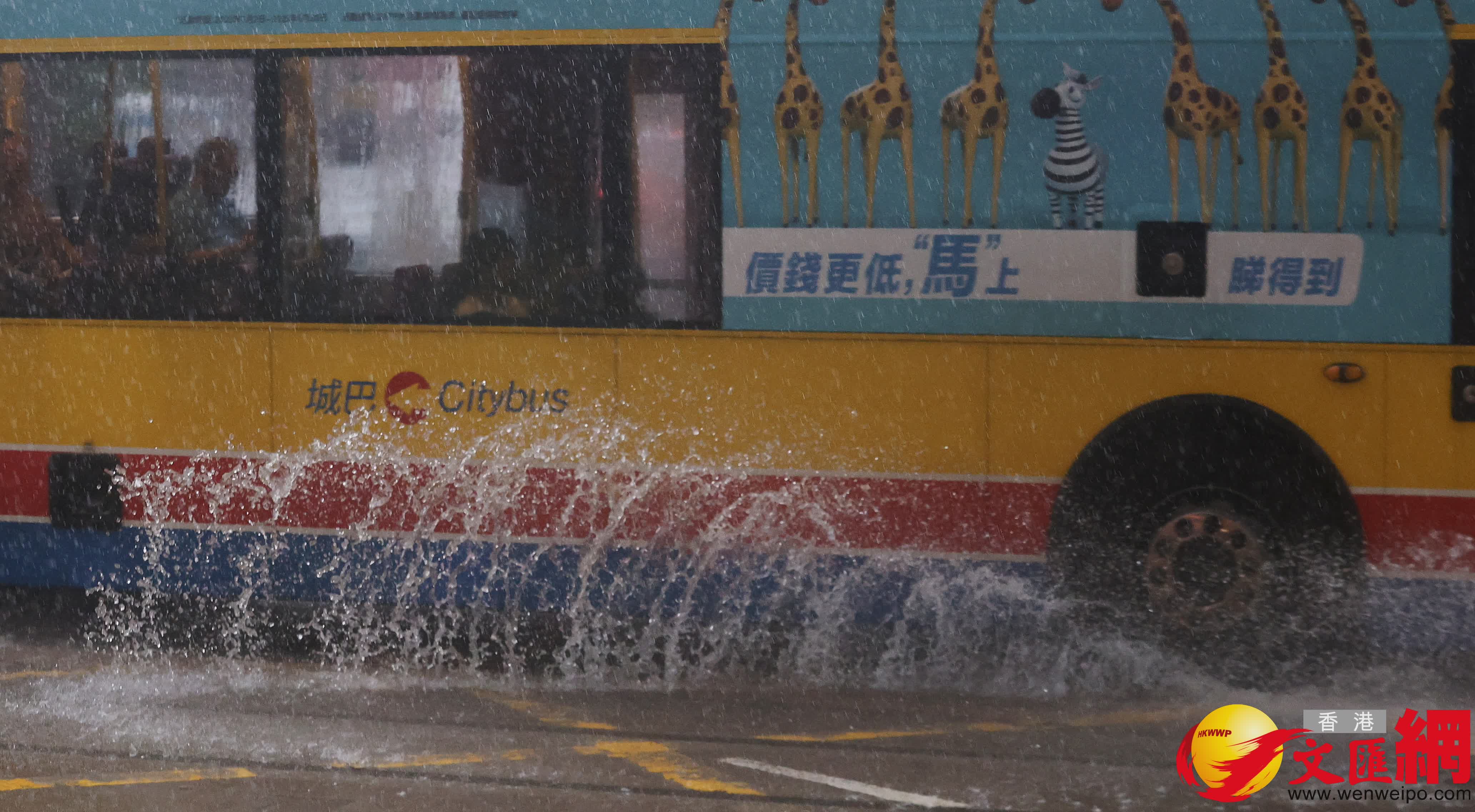 香港近日連場暴雨。（香港文匯報記者郭木又攝）