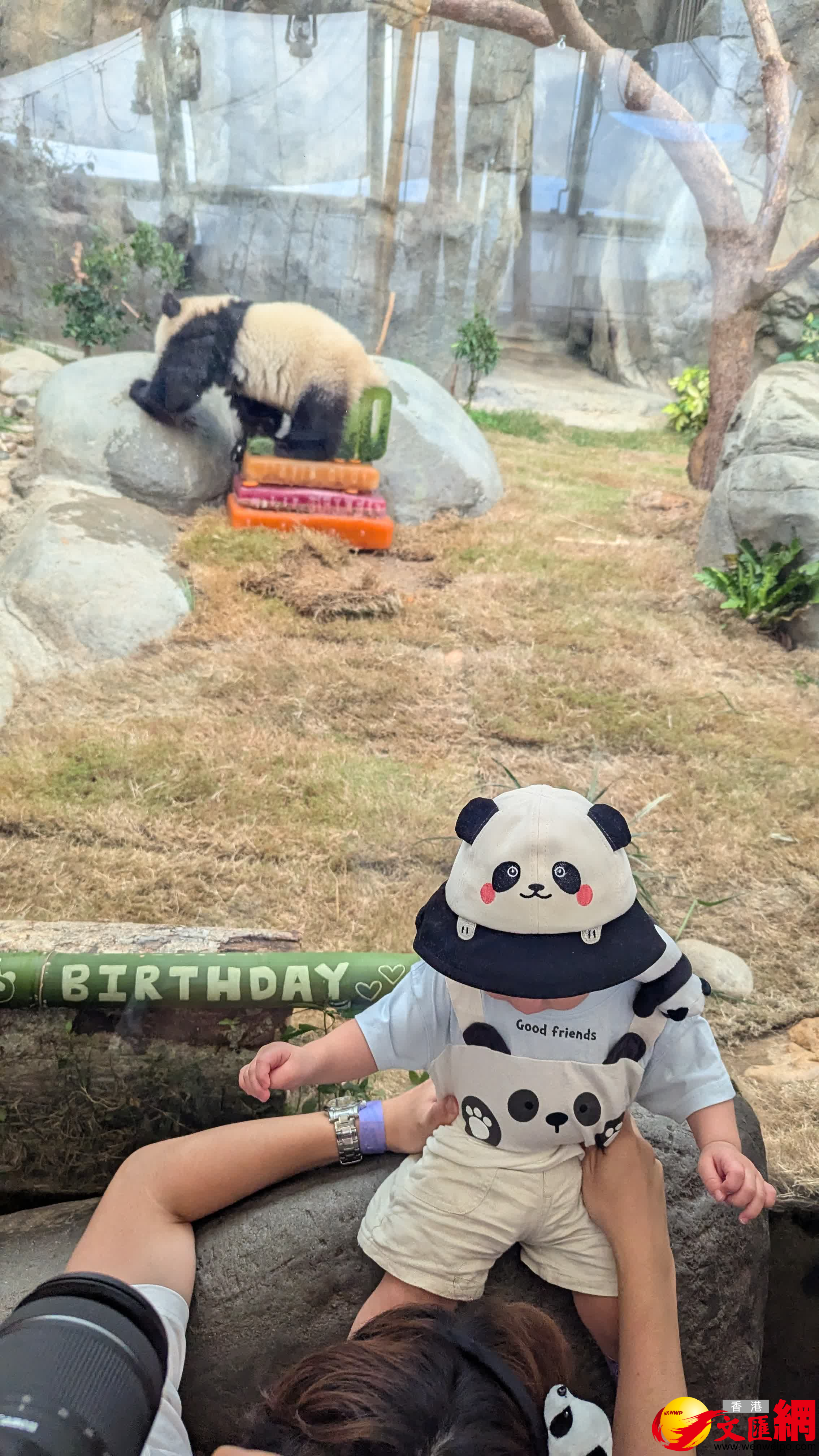 同歲的小朋友穿上熊貓衣裳一同慶祝生日。（香港文匯報記者萬霜靈 攝）