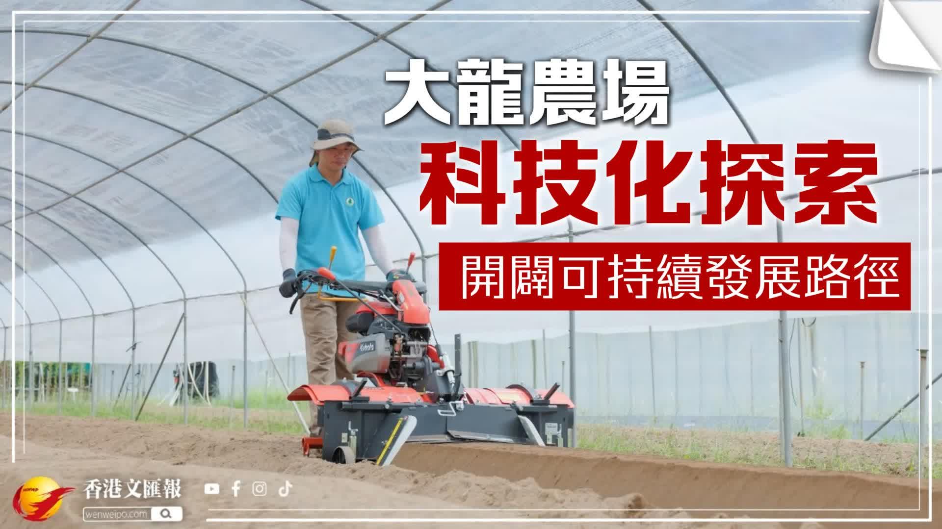 (有片) 大龍農場科技化「試煉」 開闢可持續發展路徑