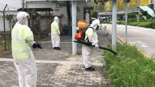 8月份第六批分區誘蚊器指數 馬灣及啟德北高達20%及17.5%