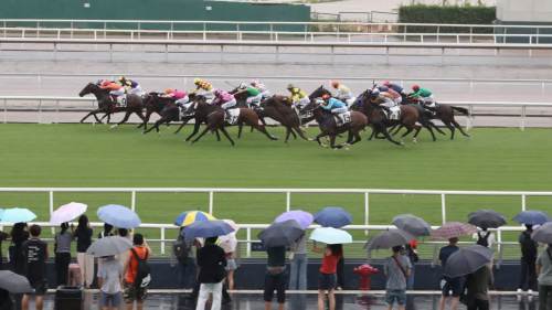 新馬季今開鑼　三號(hào)風(fēng)球無阻馬迷熱情　有遊客預(yù)算2000美金下注
