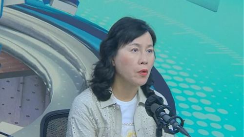 陳美寶：網約車齡上限調高至12年 確保供應有更多選擇