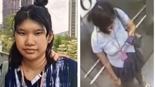 梨木樹邨22歲泰籍女子鄭慧玲失蹤 警籲提供消息