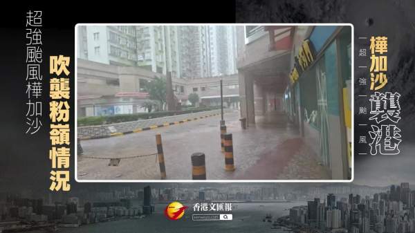樺加沙襲港｜粉嶺一帶樹木倒塌  商舖緊閉 行人寥寥