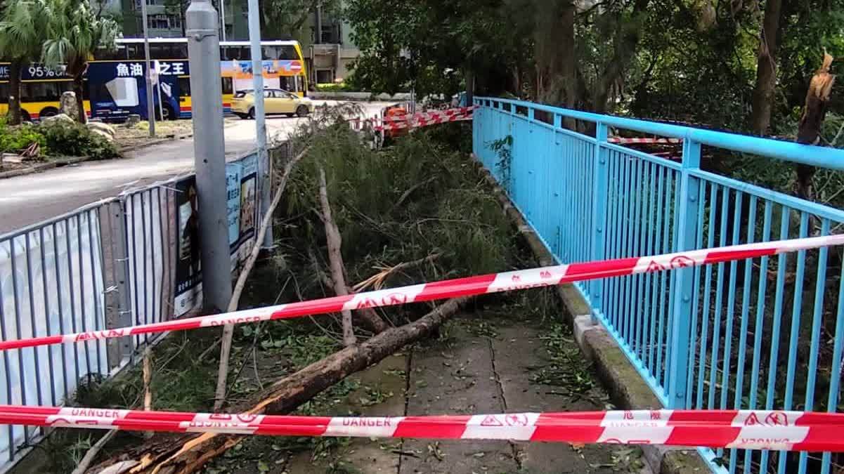 樺加沙離港│風後見威力樹枝雜物滿地 無阻市民返工返學