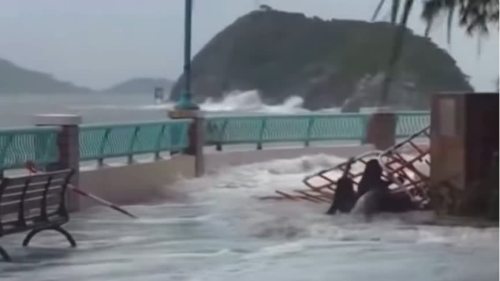 (有片) 樺加沙襲港│兩婦帶小童到海怡半島「追風(fēng)打卡」 涉疏忽照顧兒童被捕 (有片) 樺加沙襲港│兩婦帶小童到海怡半島「追風(fēng)打卡」 涉疏忽照顧兒童被捕