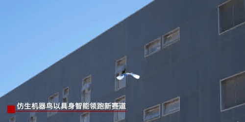隱蔽性極強！未來戰場看「鳥群」出擊