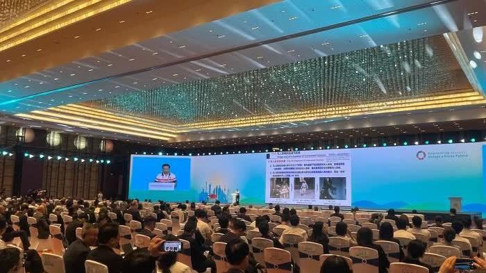 DeepSeek開源大語言模型等入選　「2025全球十大工程成就」在滬發布