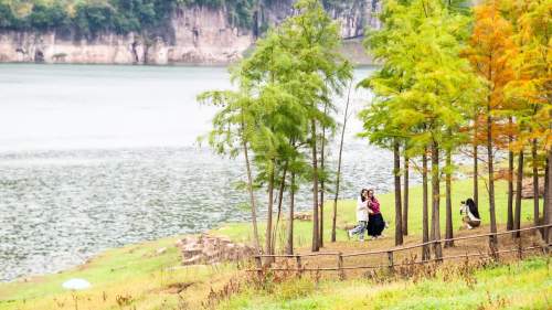 重慶石柱橋頭鎮：農文旅融合助力鄉村振興