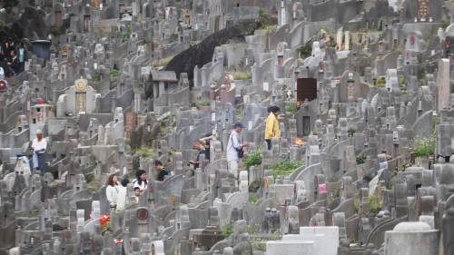 重陽市民登高掃墓 重陽市民登高掃墓