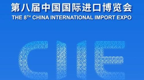 行政長官率團赴上海出席第八屆中國國際進口博覽會