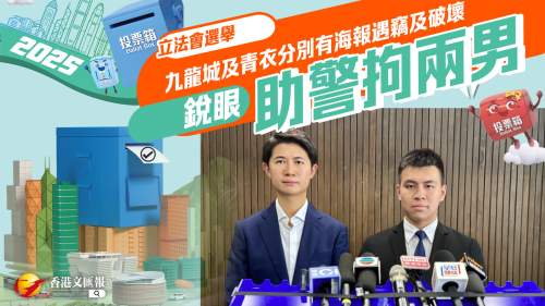 立法會選舉│九龍城及青衣分別有海報遇竊及破壞 「銳眼」助警拘兩男