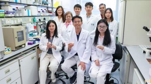 港大醫學院揭新生嬰兒顱顏畸形成因