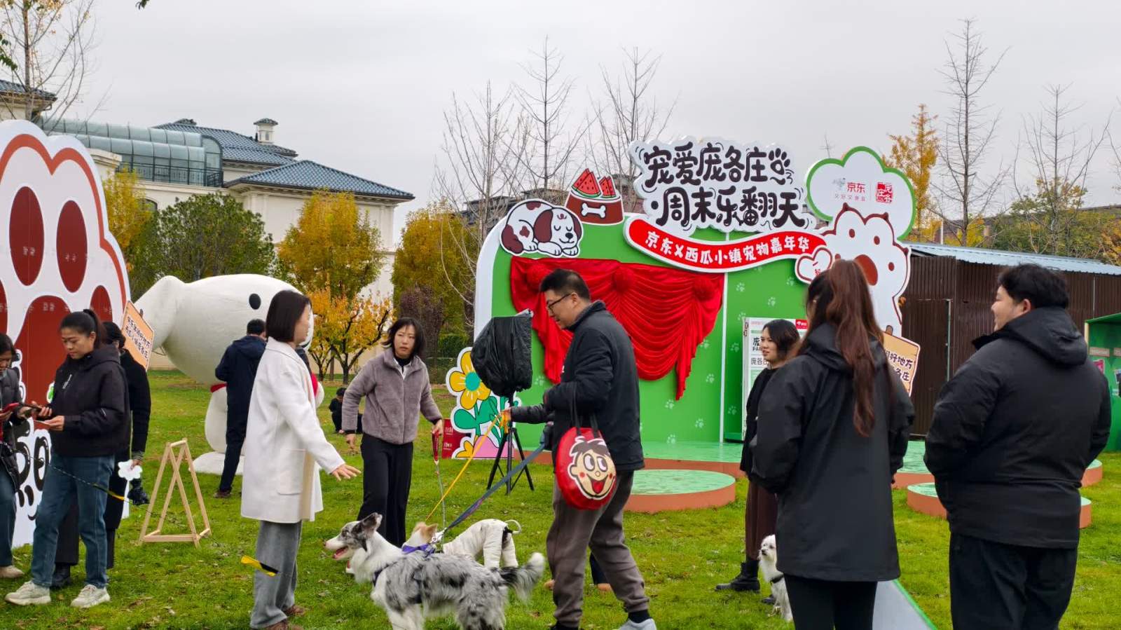 AI助寵物身份識別　狗鼻紋識別正確率超99%